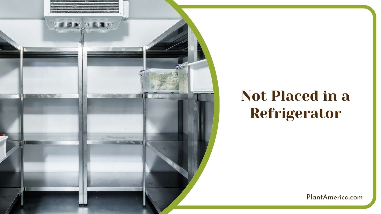Inside Of an Industrial Refrigerator Plant America Inside Of an Industrial Refrigerator Plant America