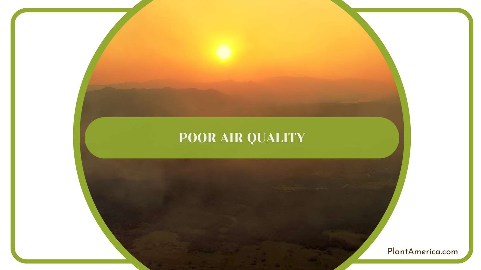 Poor Air Quality Plant America Poor Air Quality Plant America