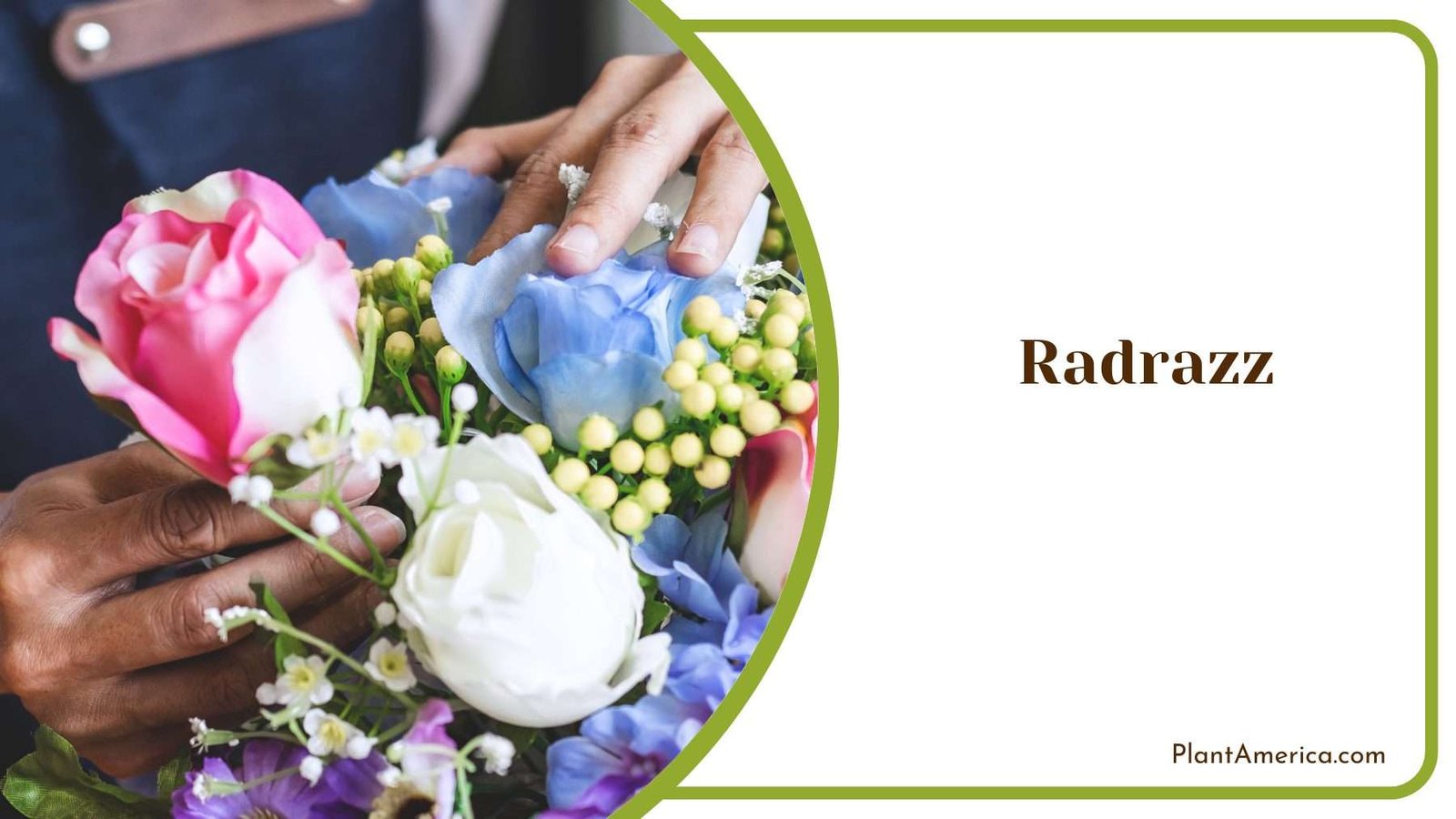 Radrazz Flower Blooms Plant America