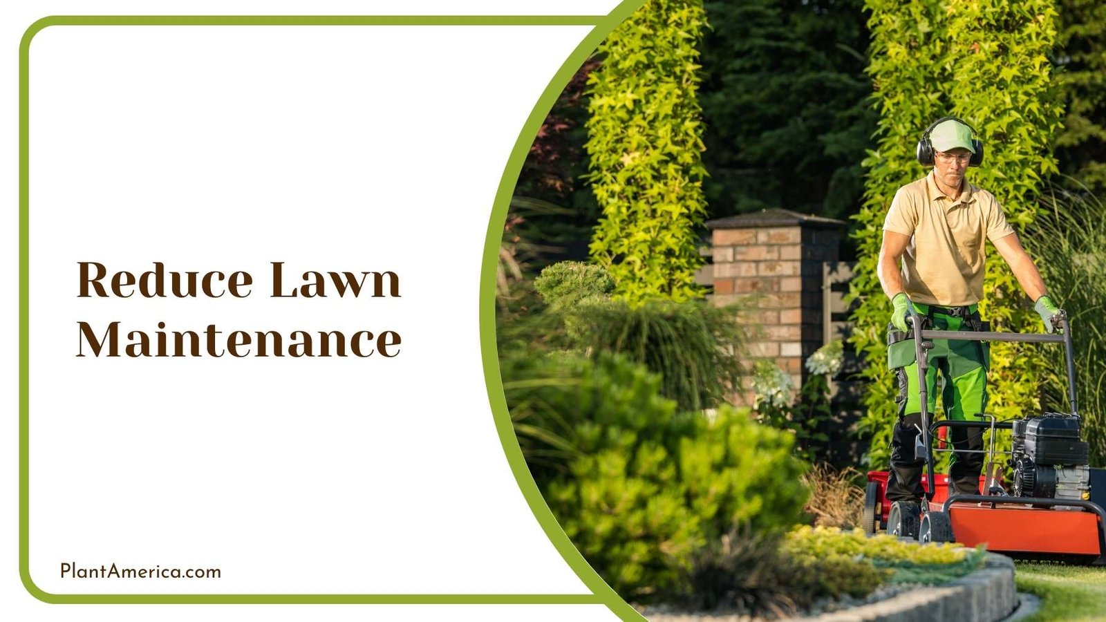 Reduce Lawn Maintenance Plant America