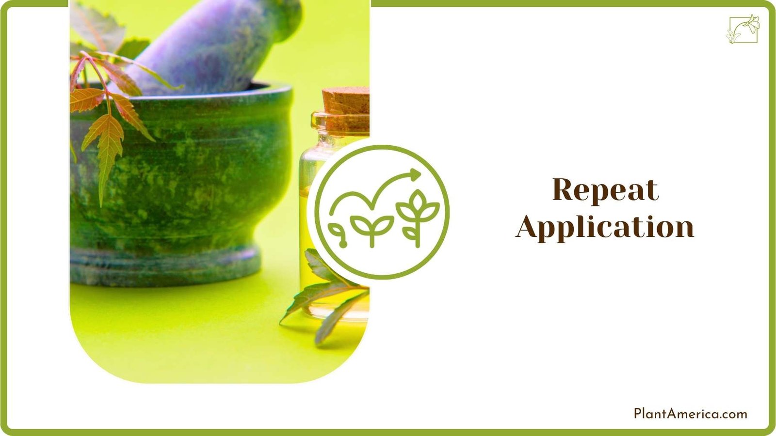 Repeat Application Plant America