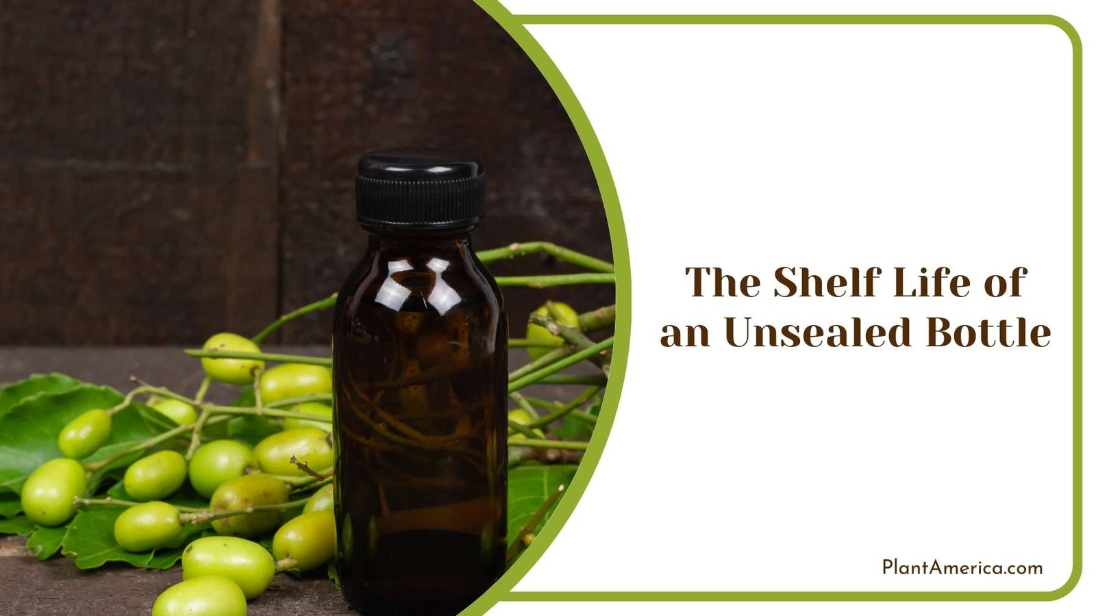 The Shelf Life of an Unsealed Bottle Plant America The Shelf Life of an Unsealed Bottle Plant America