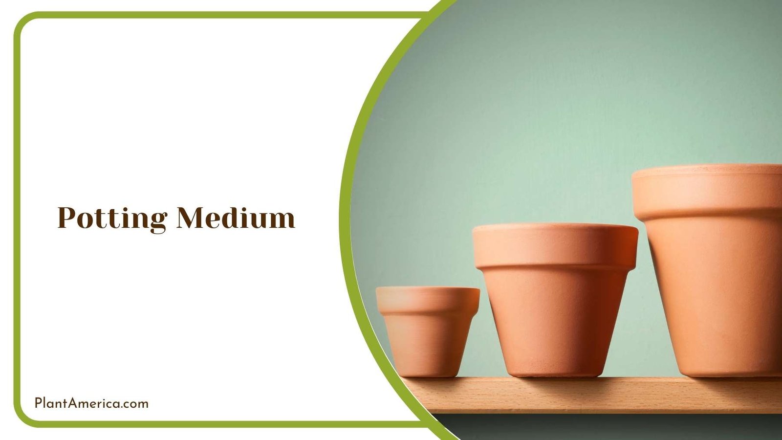 Three Clay Pot On a Surface Plant America 2 Three Clay Pot On a Surface Plant America 2