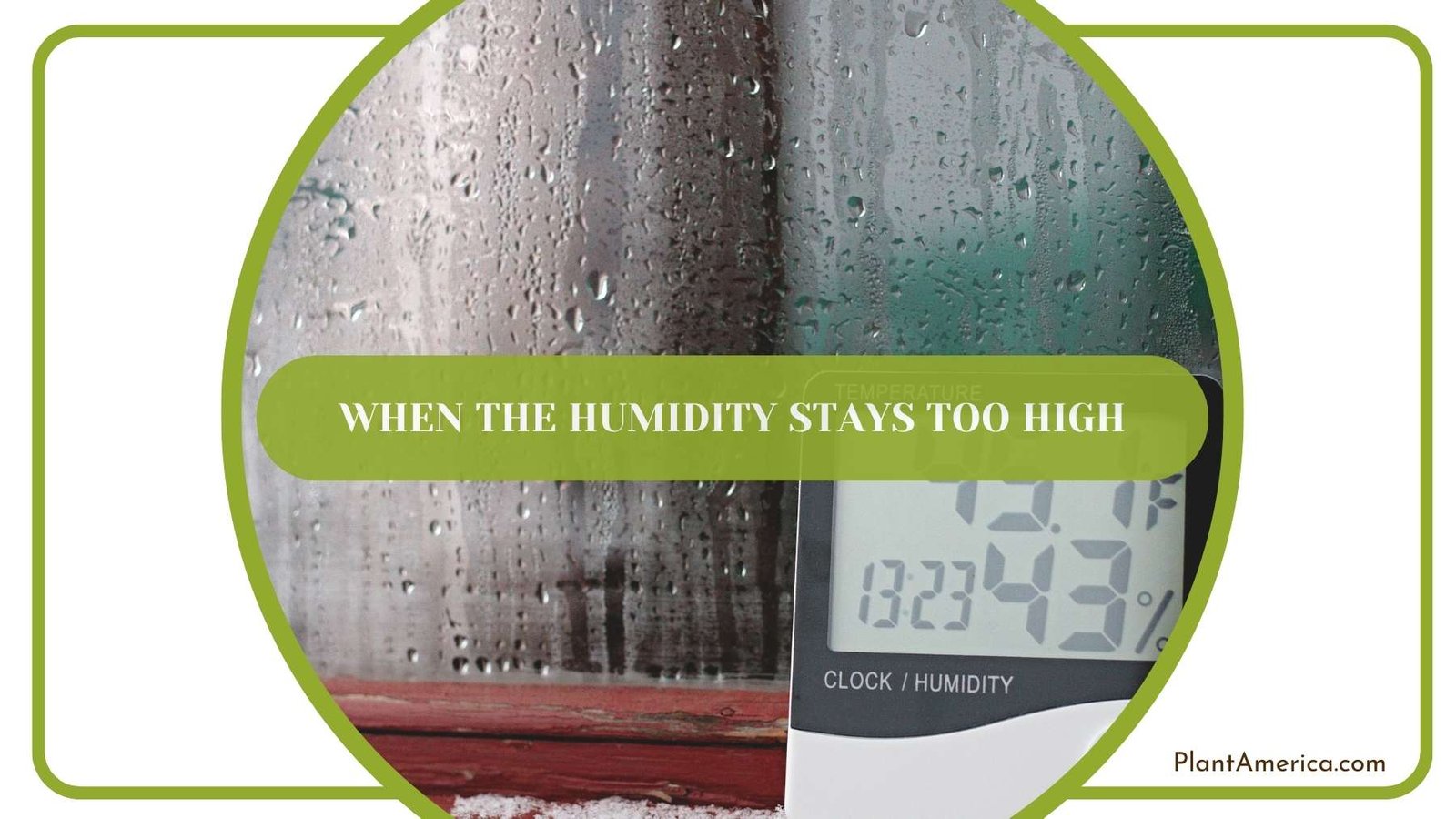 When the Humidity Stays Too High Plant America
