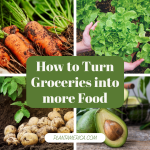 How to Turn Groceries into more Food