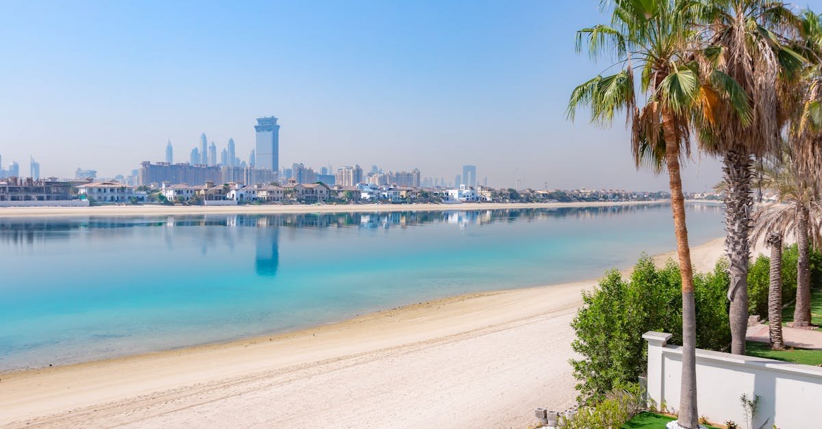 orchid blooms, amazing plants discussed